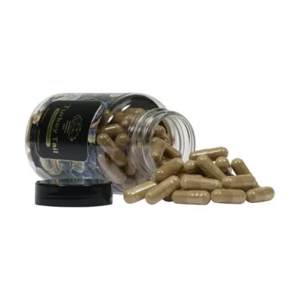 Turkey Tail Mushroom Capsules