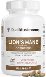lion’s mane mushroom capsules - Image 2