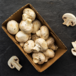 Fresh Button Mushrooms