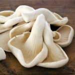 Fresh Oyster Mushroom For Sale