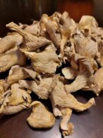 Dried Oyster Mushrooms For Sale - Image 2