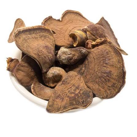 images (7) Dried Reishi Mushrooms For Sale - A Grade - Image 1